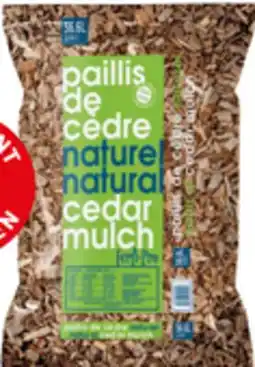 BMR PAILLIS DE CÉDRE offer