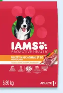 Walmart IAMS dry dog food offer