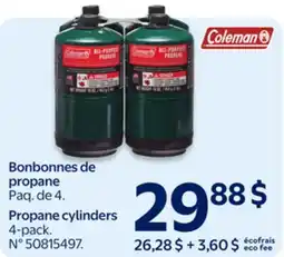 Walmart Propane cylinders offer