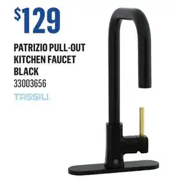 Canac Patrizio Pull-Out Kitchen Faucet offer