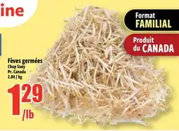 Bonanza Fèves germées Chop Suey offer