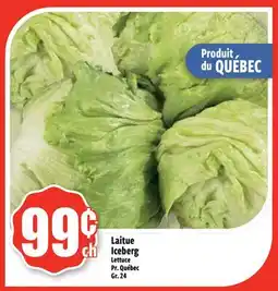 Bonanza Laitue Iceberg offer