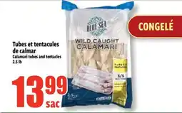 Bonanza Tubes et tentacles de calmar offer