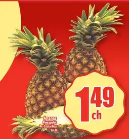 Bonanza Ananas offer