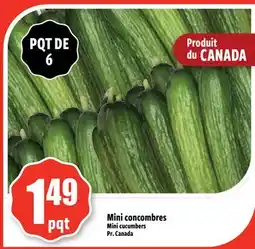 Bonanza Mini concombres offer