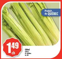 Bonanza Céleri offer