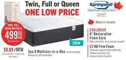 The Brick Springwall Spa 8 Firm Smooth Top Twin Mattress in a Box offer