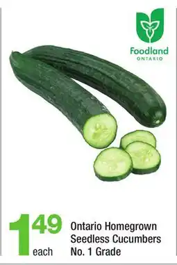 Highland Farms Ontario Homegrown Seedless Cucumbers offer