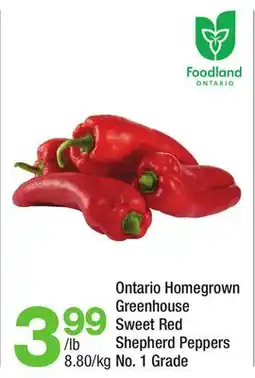 Highland Farms Ontario Homegrown Greenhouse Sweet Red Shepherd Peppers offer