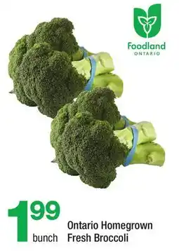 Highland Farms Ontario Homegrown Fresh Broccoli offer