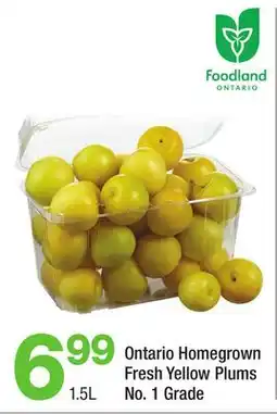 Highland Farms Ontario Homegrown Fresh Yellow Plums offer