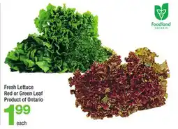 Highland Farms Fresh Lettuce offer
