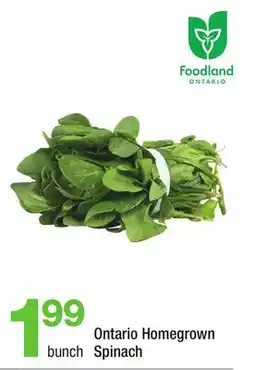 Highland Farms Ontario Homegrown Spinach offer