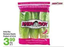 Highland Farms Andy Boy Romaine Hearts offer