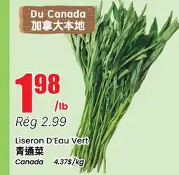 Btrust Supermarket Liseron D'Eau Vert offer