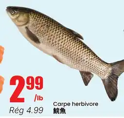 Btrust Supermarket Carpe herbivore offer
