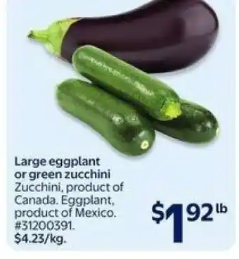 Large Eggplant or Green Zucchini