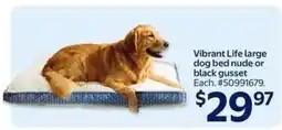 Walmart Vibrant Life Large Dog Bed offer