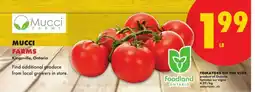 No Frills Mucci Farms Tomatoes on the Vine offer