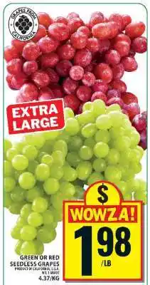 Food Basics GREEN or RED SEEDLESS GRAPES offer