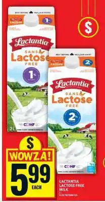 Food Basics LACTANTIA LACTOSE FREE MILK offer
