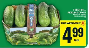 Food Basics Fresh Dill Pickling Cukes offer