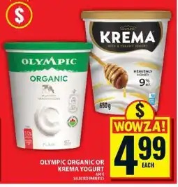 Food Basics Olympic Organic or Krema Yogurt offer