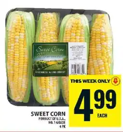 Food Basics SWEET CORN offer