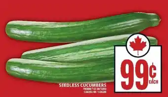 Food Basics SEEDLESS CUCUMBERS offer