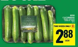 Food Basics MINI CUCUMBERS offer