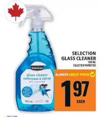 Food Basics SELECTION GLASS CLEANER offer