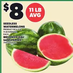 Independent City Market SEEDLESS WATERMELONS, 11 LB AVERAGE offer