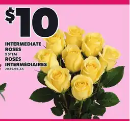 Independent City Market INTERMEDIATE ROSES, 9 STEM offer