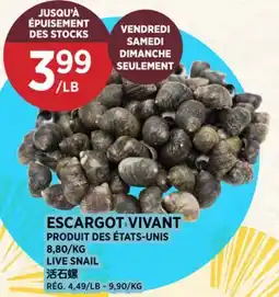 Kim Phat LIVE SNAIL offer