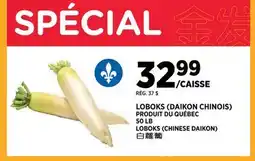 Kim Phat LOBOKS (CHINESE DAIKON) offer