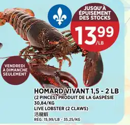 Kim Phat LIVE LOBSTER offer