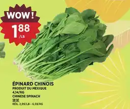 Kim Phat CHINESE SPINACH offer