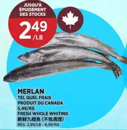 Kim Phat FRESH WHOLE WHITING offer