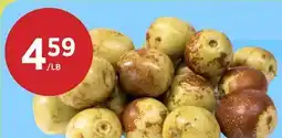 Kim Phat CHINESE DATES offer