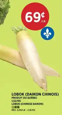 Kim Phat LOBOK (DAIKON CHINOIS) offer