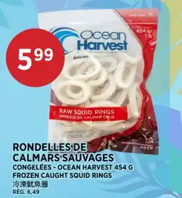 Kim Phat OCEAN HARVEST FROZEN CAUGHT SQUID RINGS offer
