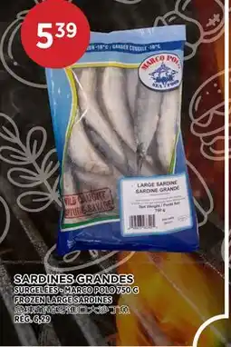 Kim Phat MARCO POLO FROZEN LARGE SARDINES offer