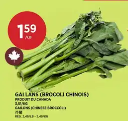 Kim Phat GAILONS (CHINESE BROCCOLI) offer