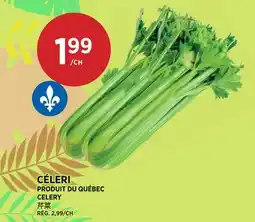 Kim Phat CELERY offer