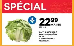 Kim Phat ICEBERG LETTUCE offer