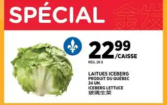 Kim Phat ICEBERG LETTUCE offer