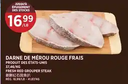 Kim Phat FRESH RED GROUPER STEAK offer