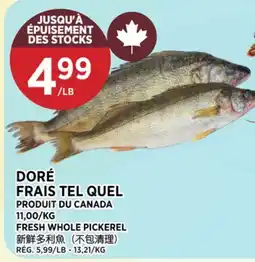 Kim Phat FRESH WHOLE PICKEREL offer