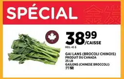 Kim Phat GAILONS (CHINESE BROCCOLI) offer