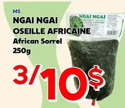 Marche Salaberry MS NGAI NGAI OSEILLE AFRICAINE offer